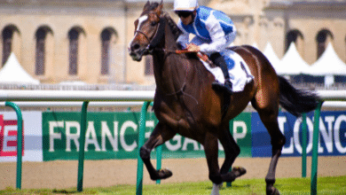 Horse Racing France
