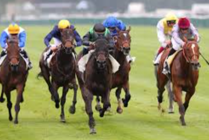French Horse Racing