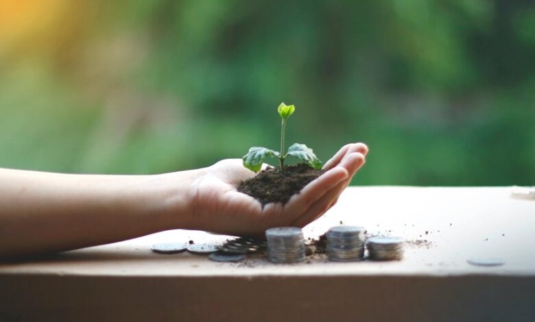 sustainable financial growth planning