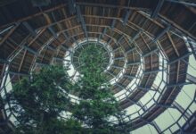 sustainable growth framework outlined