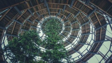 sustainable growth framework outlined