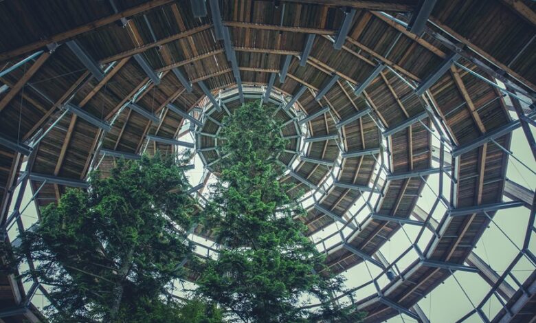 sustainable growth framework outlined