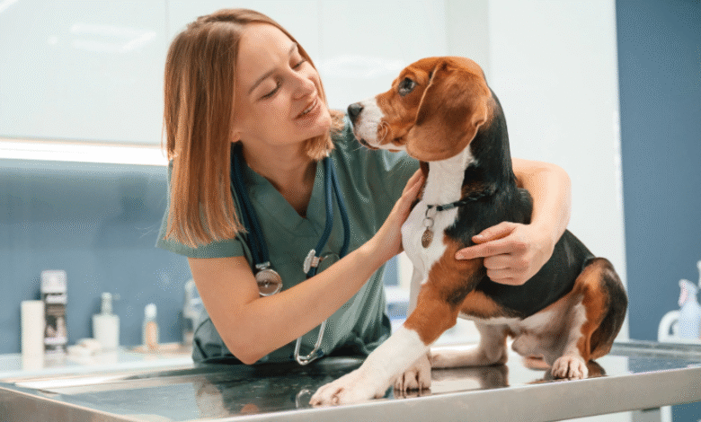 Vet Surgery: Essential Insights for Animal Care