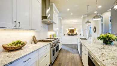 Granite Kitchen Countertops Essential Guide for Durable and Stylish Homes
