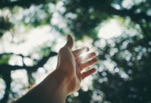 personal growth and wellness