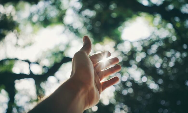 personal growth and wellness