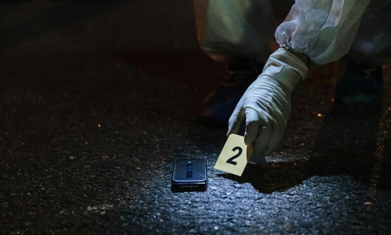 mysterious number revealed secrets