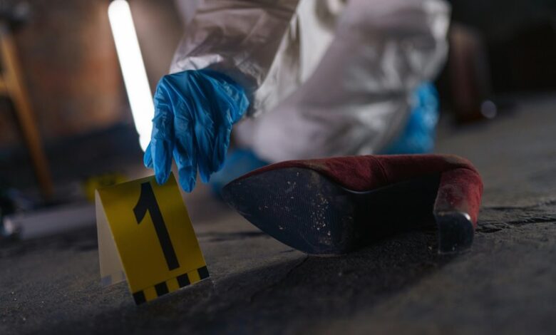 mysterious number s intriguing story