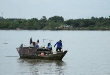 business growth and development