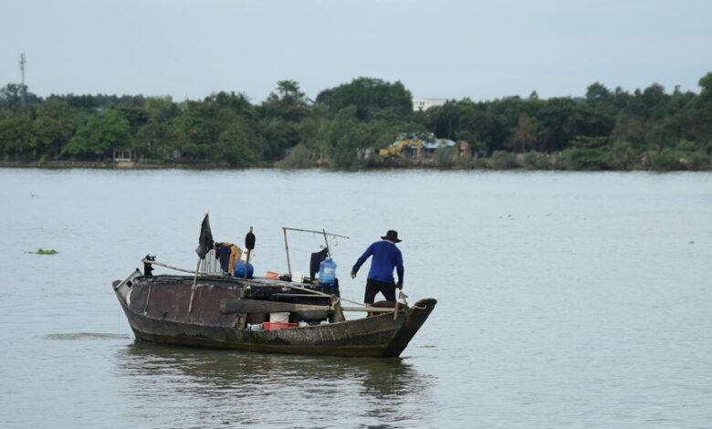 business growth and development