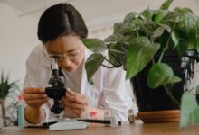 business innovation growth study