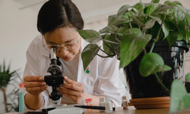 business innovation growth study