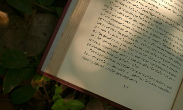 business insight contact numbers