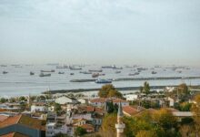 industry insights and data