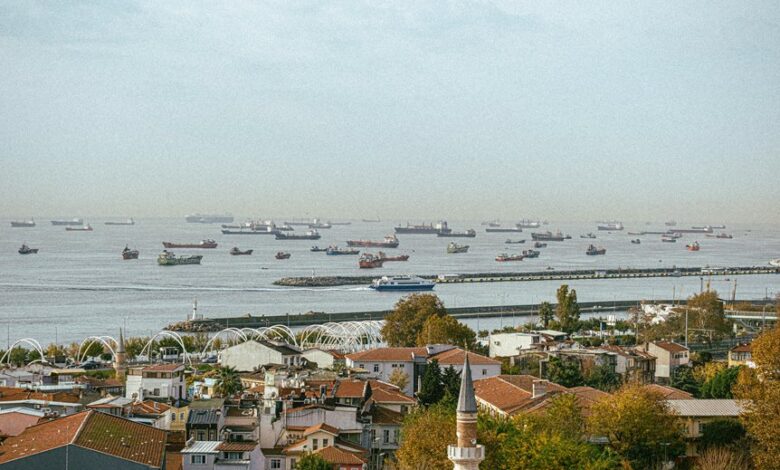 industry insights and data