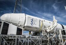 online service development platform