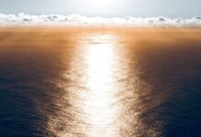 horizon arc driving transformation