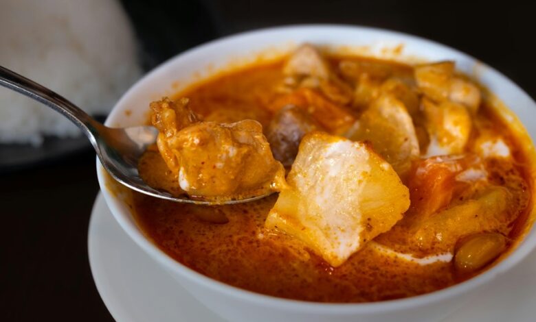 nova prism unlocks japanese curry opportunities